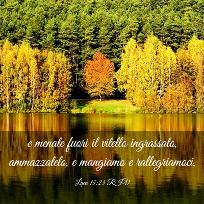 Picture 03 - Luca 15:23 RIV - e menate fuori il vitello ingrassato, - Bible Verse Picture