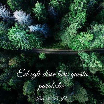 Picture 03 - Luca 15:3 RIV - Ed egli disse loro questa - Bible Verse Picture