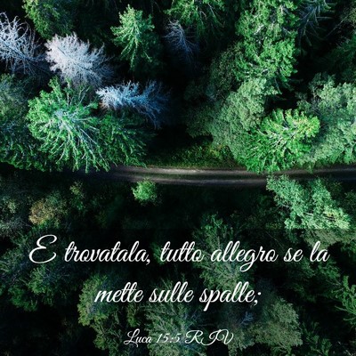 Picture 03 - Luca 15:5 RIV - E trovatala, tutto allegro se la mette sulle - Bible Verse Picture
