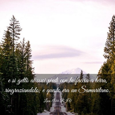 Picture 03 - Luca 17:16 RIV - e si gettò ai suoi piedi con la faccia a terra, - Bible Verse Picture