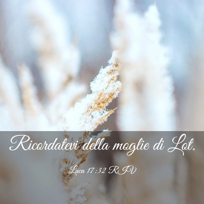 Picture 03 - Luca 17:32 RIV - Ricordatevi della moglie di - Bible Verse Picture