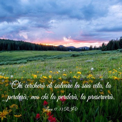 Picture 03 - Luca 17:33 RIV - Chi cercherà di salvare la sua vita, la - Bible Verse Picture
