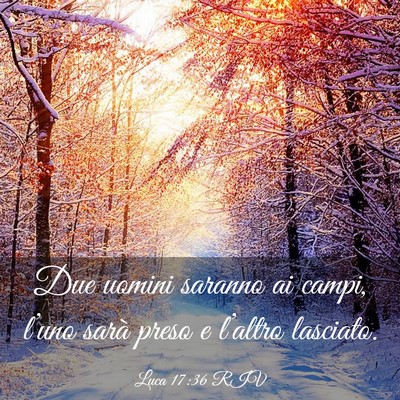 Picture 03 - Luca 17:36 RIV - Due uomini saranno ai campi, l’uno sarà preso - Bible Verse Picture