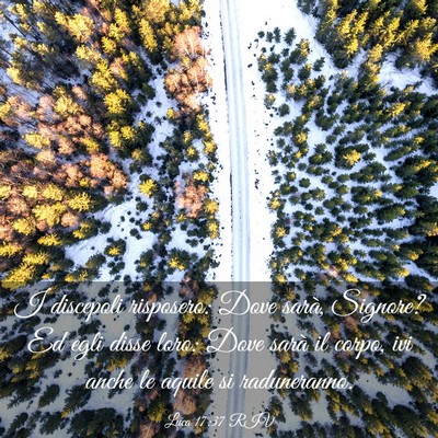 Picture 03 - Luca 17:37 RIV - I discepoli risposero: Dove sarà, Signore? Ed - Bible Verse Picture