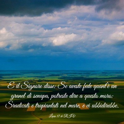 Picture 03 - Luca 17:6 RIV - E il Signore disse: Se aveste fede quant’è un - Bible Verse Picture