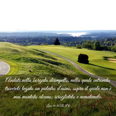 Picture 03 - Luca 19:30 RIV - Andate nella borgata dirimpetto, nella quale - Bible Verse Picture