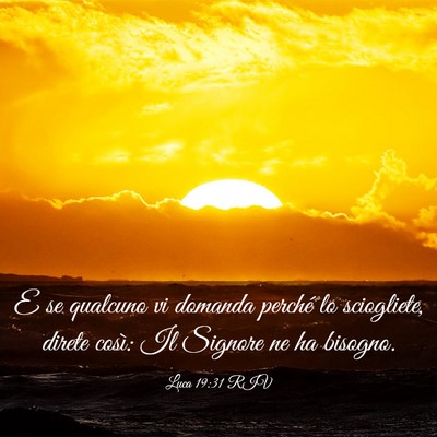 Picture 03 - Luca 19:31 RIV - E se qualcuno vi domanda perché lo sciogliete, - Bible Verse Picture