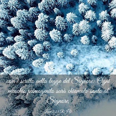 Picture 03 - Luca 2:23 RIV - com’è scritto nella legge del Signore: Ogni - Bible Verse Picture