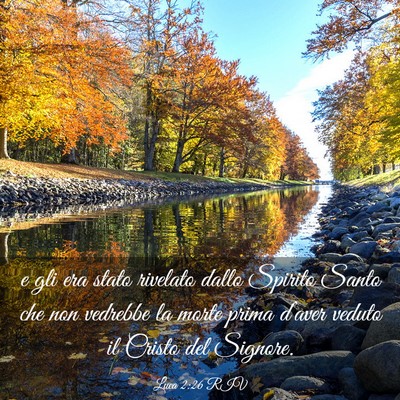 Picture 03 - Luca 2:26 RIV - e gli era stato rivelato dallo Spirito Santo che - Bible Verse Picture