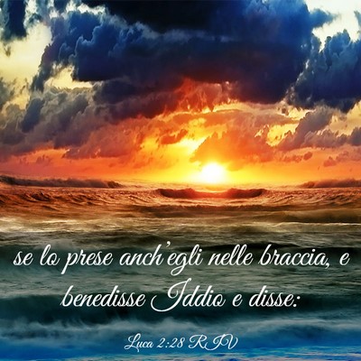 Picture 03 - Luca 2:28 RIV - se lo prese anch’egli nelle braccia, e - Bible Verse Picture