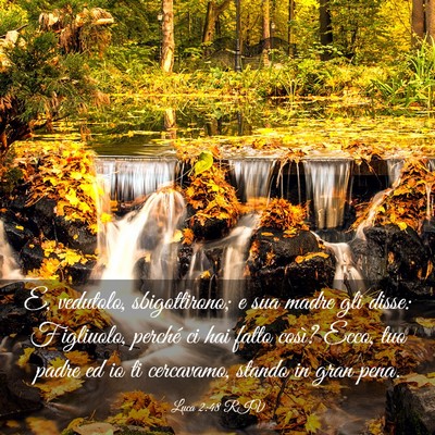 Picture 03 - Luca 2:48 RIV - E, vedutolo, sbigottirono; e sua madre gli disse: - Bible Verse Picture