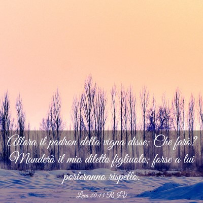 Picture 03 - Luca 20:13 RIV - Allora il padron della vigna disse: Che farò? - Bible Verse Picture