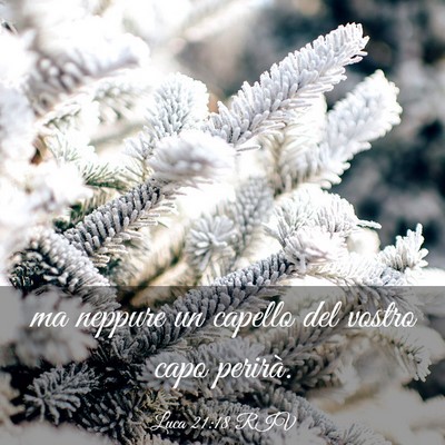 Picture 03 - Luca 21:18 RIV - ma neppure un capello del vostro capo - Bible Verse Picture