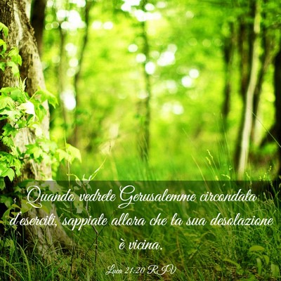 Picture 03 - Luca 21:20 RIV - Quando vedrete Gerusalemme circondata - Bible Verse Picture
