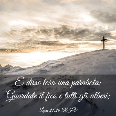 Picture 03 - Luca 21:29 RIV - E disse loro una parabola: Guardate il fico e - Bible Verse Picture