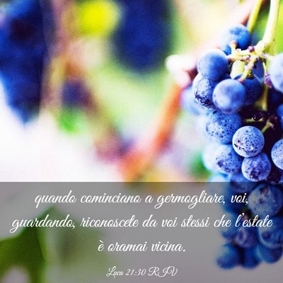 Picture 03 - Luca 21:30 RIV - quando cominciano a germogliare, voi, guardando, - Bible Verse Picture