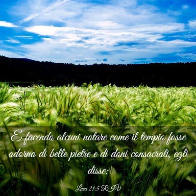 Picture 03 - Luca 21:5 RIV - E facendo alcuni notare come il tempio fosse - Bible Verse Picture