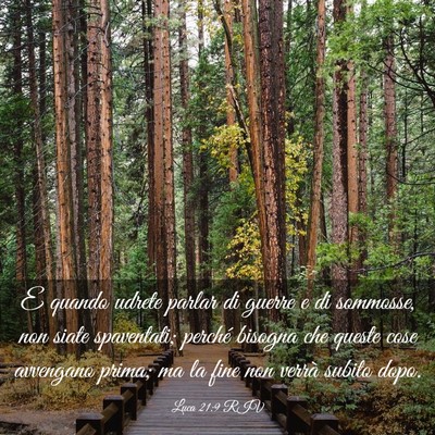 Picture 03 - Luca 21:9 RIV - E quando udrete parlar di guerre e di sommosse, - Bible Verse Picture