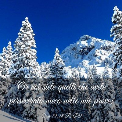 Picture 03 - Luca 22:28 RIV - Or voi siete quelli che avete perseverato meco - Bible Verse Picture