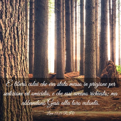 Picture 03 - Luca 23:25 RIV - E liberò colui che era stato messo in prigione - Bible Verse Picture