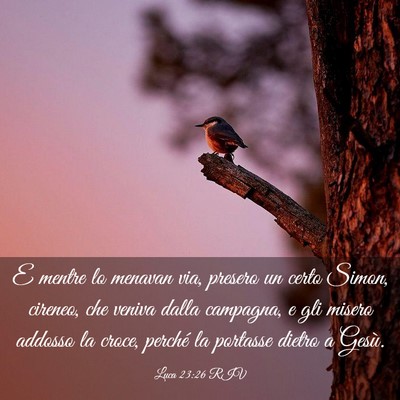 Picture 03 - Luca 23:26 RIV - E mentre lo menavan via, presero un certo Simon, - Bible Verse Picture