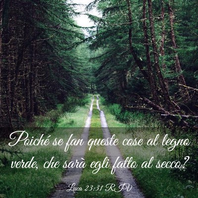 Picture 03 - Luca 23:31 RIV - Poiché se fan queste cose al legno verde, che - Bible Verse Picture