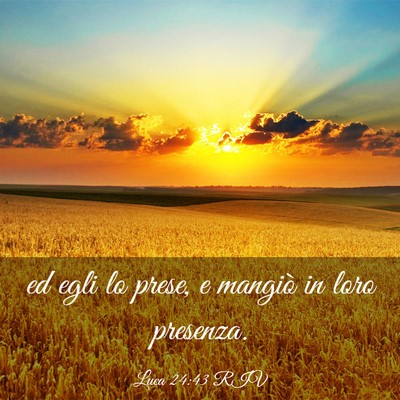 Picture 03 - Luca 24:43 RIV - ed egli lo prese, e mangiò in loro - Bible Verse Picture