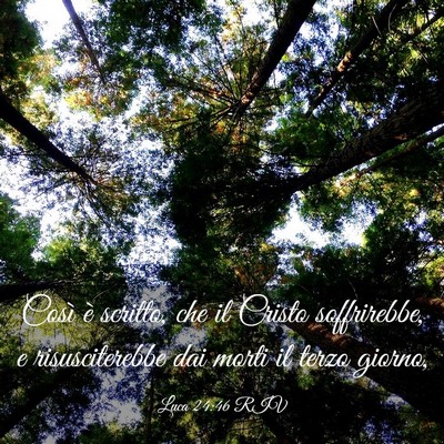 Picture 03 - Luca 24:46 RIV - Così è scritto, che il Cristo soffrirebbe, e - Bible Verse Picture