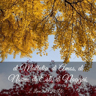 Picture 03 - Luca 3:25 RIV - di Mattatia, di Amos, di Naum, di Esli, di - Bible Verse Picture