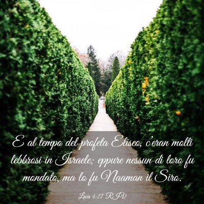 Picture 03 - Luca 4:27 RIV - E al tempo del profeta Eliseo, c’eran molti - Bible Verse Picture