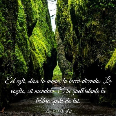 Picture 03 - Luca 5:13 RIV - Ed egli, stesa la mano, lo toccò dicendo: Lo - Bible Verse Picture