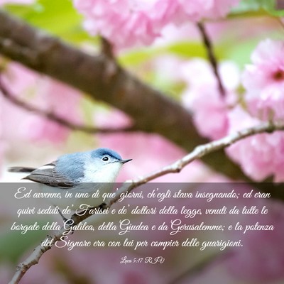 Picture 03 - Luca 5:17 RIV - Ed avvenne, in uno di que’ giorni, ch’egli - Bible Verse Picture