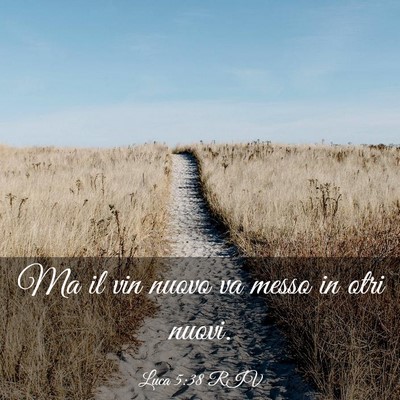 Picture 03 - Luca 5:38 RIV - Ma il vin nuovo va messo in otri - Bible Verse Picture