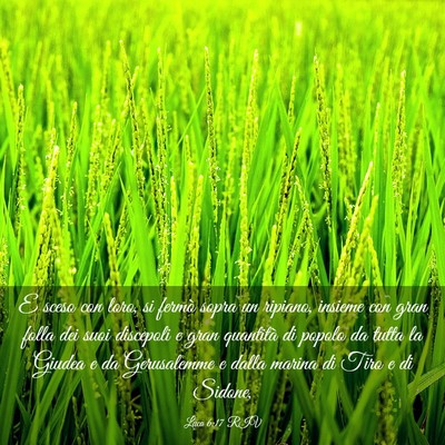 Picture 03 - Luca 6:17 RIV - E sceso con loro, si fermò sopra un ripiano, - Bible Verse Picture