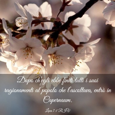 Picture 03 - Luca 7:1 RIV - Dopo ch’egli ebbe finiti tutti i suoi - Bible Verse Picture