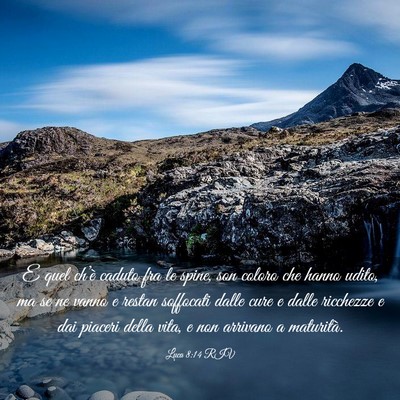 Picture 03 - Luca 8:14 RIV - E quel ch’è caduto fra le spine, son coloro - Bible Verse Picture