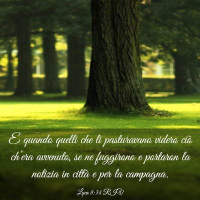 Picture 03 - Luca 8:34 RIV - E quando quelli che li pasturavano videro ciò - Bible Verse Picture