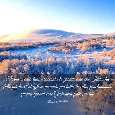 Picture 03 - Luca 8:39 RIV - Torna a casa tua, e racconta le grandi cose che - Bible Verse Picture