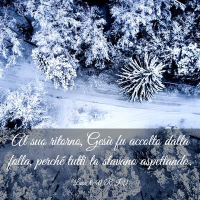 Picture 03 - Luca 8:40 RIV - Al suo ritorno, Gesù fu accolto dalla folla, - Bible Verse Picture