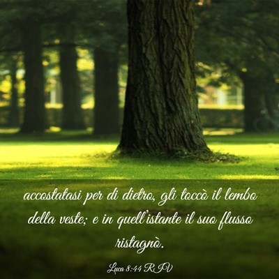 Picture 03 - Luca 8:44 RIV - accostatasi per di dietro, gli toccò il lembo - Bible Verse Picture