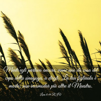 Picture 03 - Luca 8:49 RIV - Mentr’egli parlava ancora, venne uno da casa - Bible Verse Picture