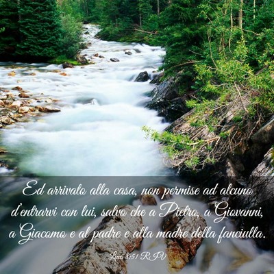 Picture 03 - Luca 8:51 RIV - Ed arrivato alla casa, non permise ad alcuno - Bible Verse Picture