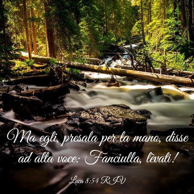 Picture 03 - Luca 8:54 RIV - Ma egli, presala per la mano, disse ad alta voce: - Bible Verse Picture