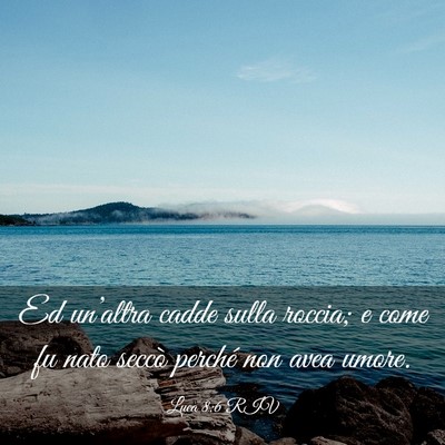 Picture 03 - Luca 8:6 RIV - Ed un’altra cadde sulla roccia; e come fu nato - Bible Verse Picture