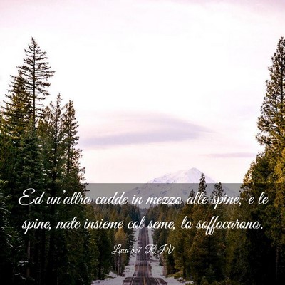 Picture 03 - Luca 8:7 RIV - Ed un’altra cadde in mezzo alle spine; e le - Bible Verse Picture