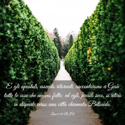 Picture 03 - Luca 9:10 RIV - E gli apostoli, essendo ritornati, raccontarono a - Bible Verse Picture