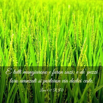 Picture 03 - Luca 9:17 RIV - E tutti mangiarono e furon sazi; e de’ pezzi - Bible Verse Picture