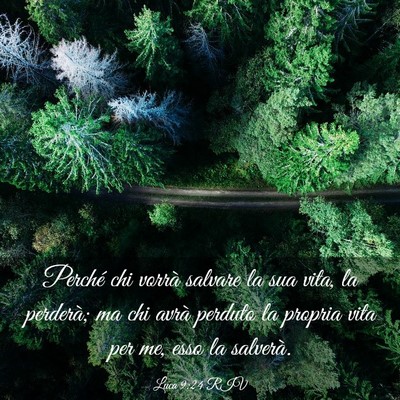 Picture 03 - Luca 9:24 RIV - Perché chi vorrà salvare la sua vita, la - Bible Verse Picture