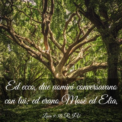 Picture 03 - Luca 9:30 RIV - Ed ecco, due uomini conversavano con lui; ed - Bible Verse Picture