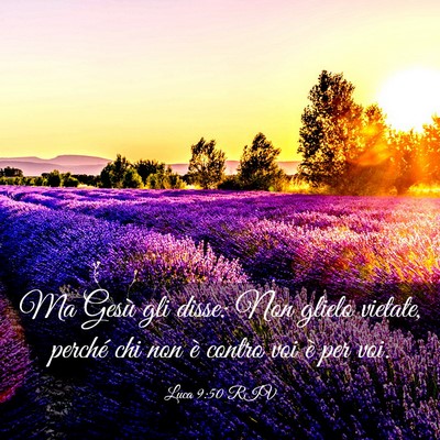 Picture 03 - Luca 9:50 RIV - Ma Gesù gli disse: Non glielo vietate, perché - Bible Verse Picture
